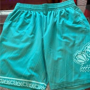 Men's Teal Athletic Shorts with Graphic Accent